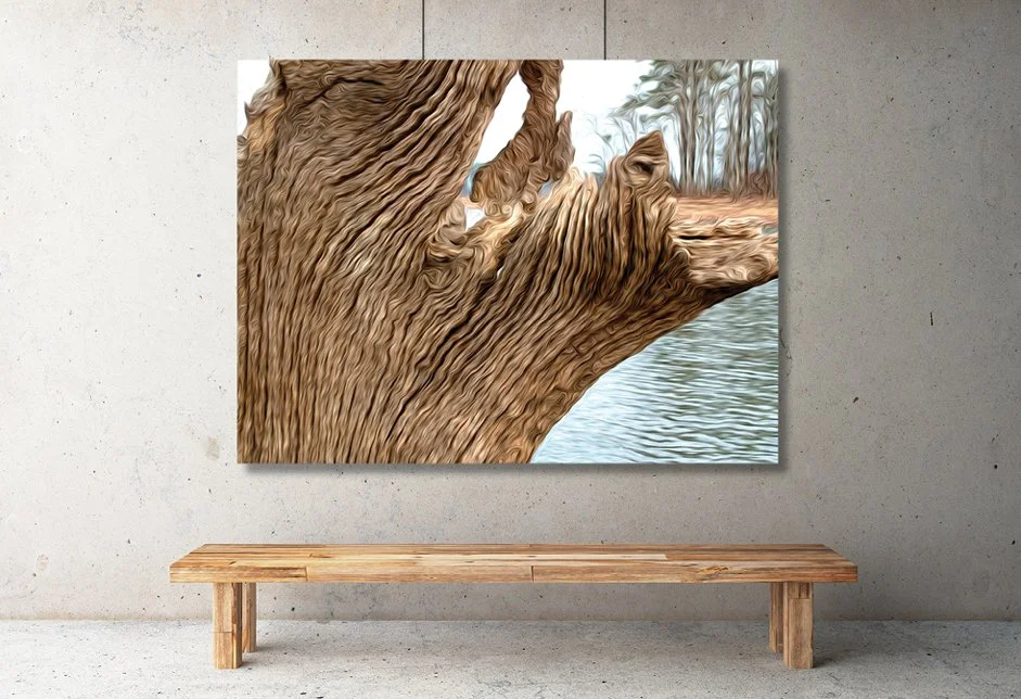 Product Branch Gallery.jpg