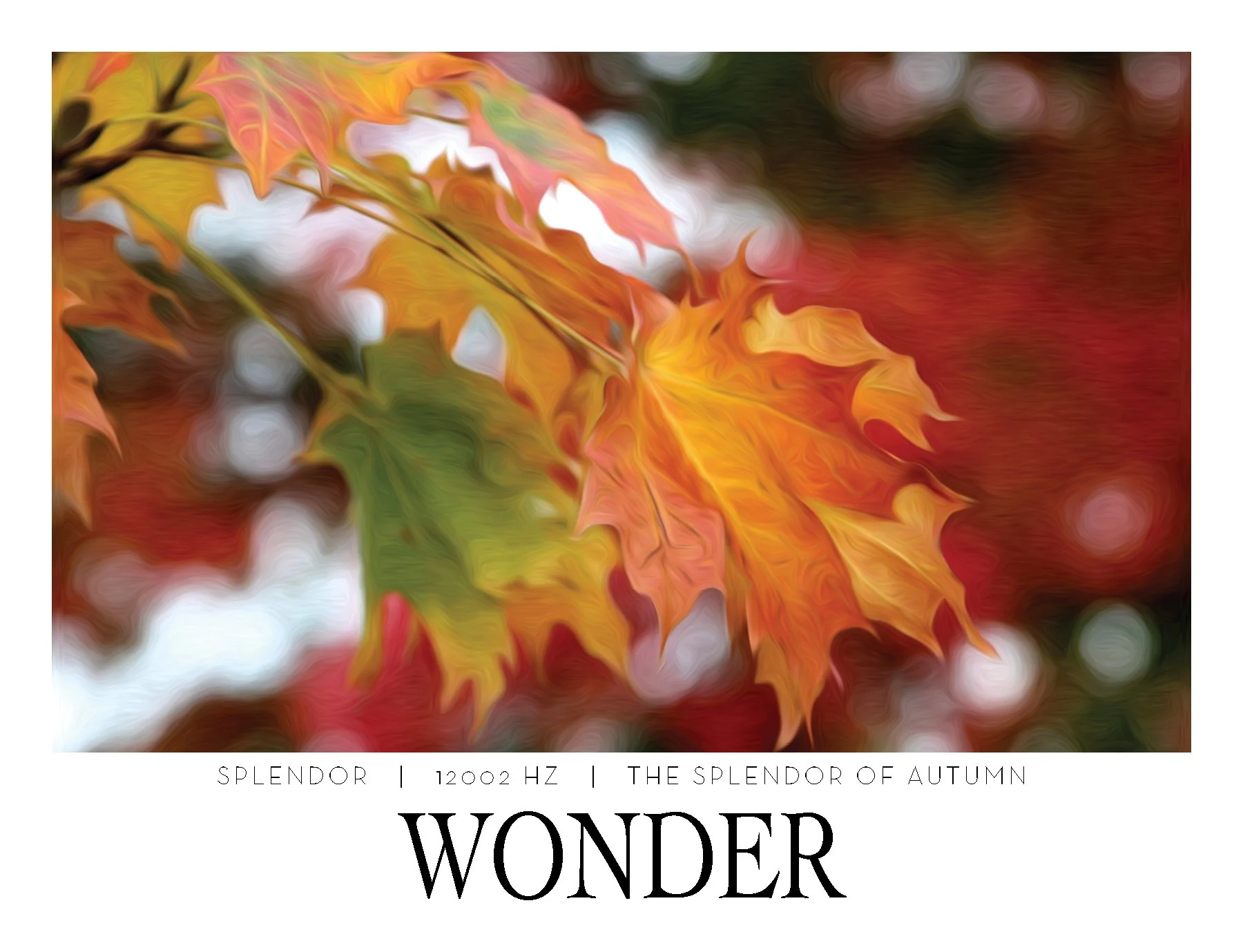 WONDER. 1200 HZ. Frequency Anchor