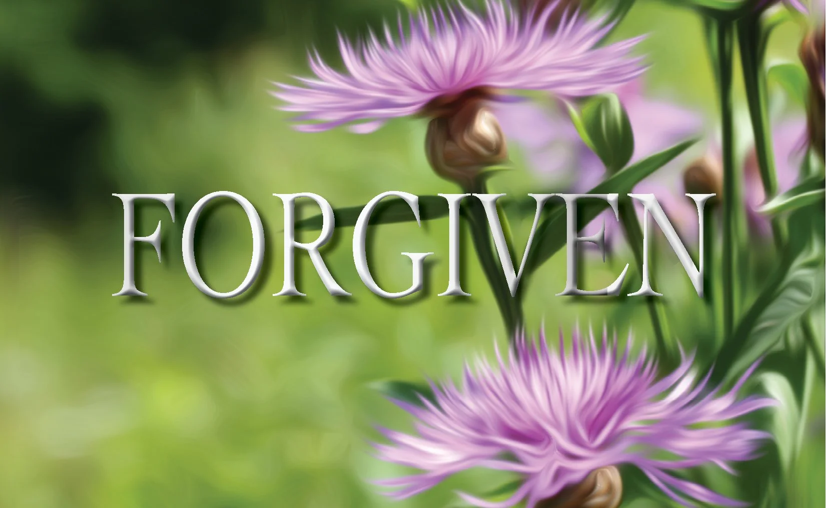 FORGIVEN. 873 HZ. Frequency Anchor