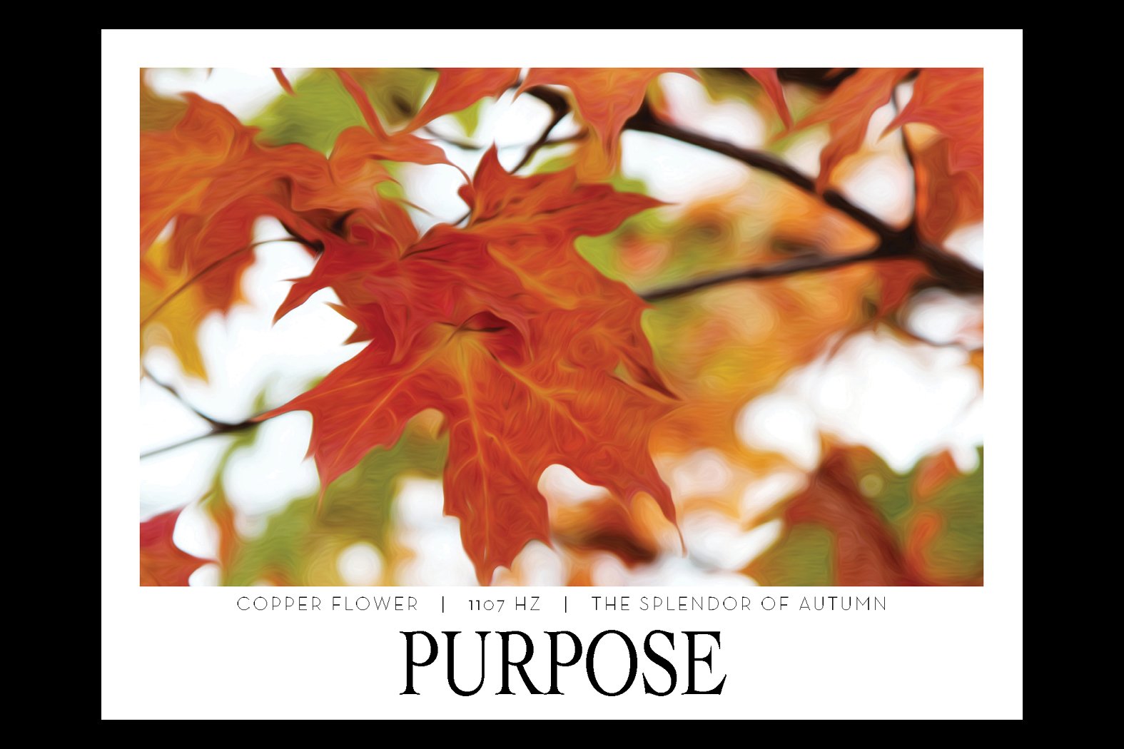 PURPOSE. 1107 HZ. Frequency Anchor