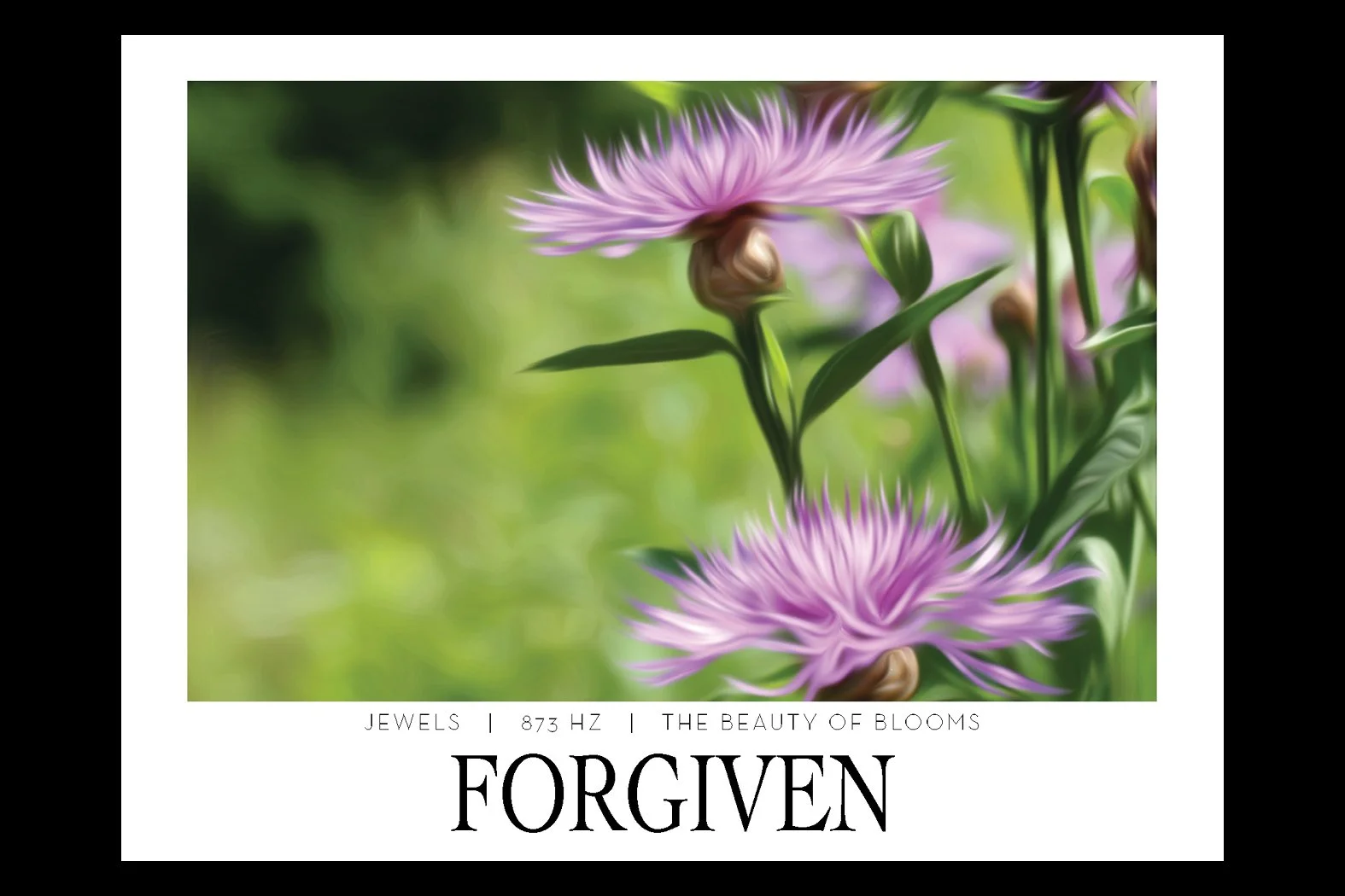 FORGIVEN. 873 HZ. Frequency Anchor