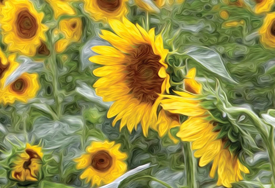 TOURNESOL. Resonance Art. 1008 HZ