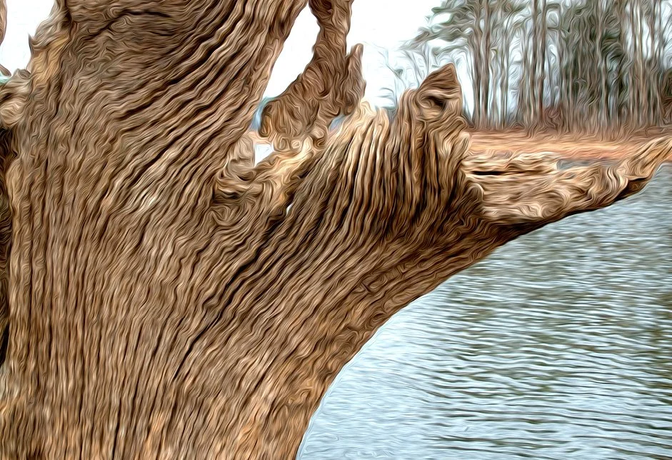BRANCH. NeuroResonant Art. 1107 HZ
