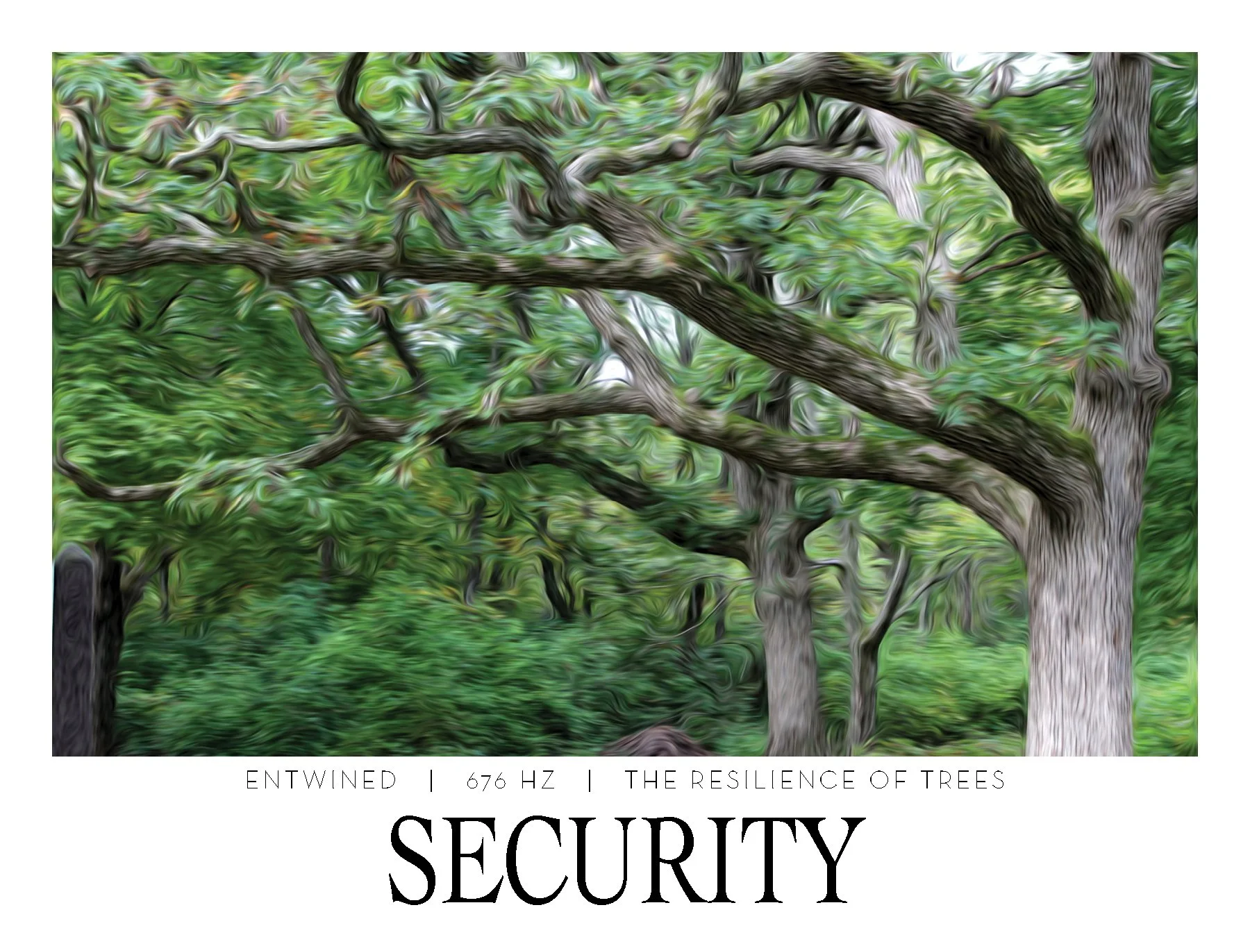 SECURITY. 676 HZ. Frequency Anchor