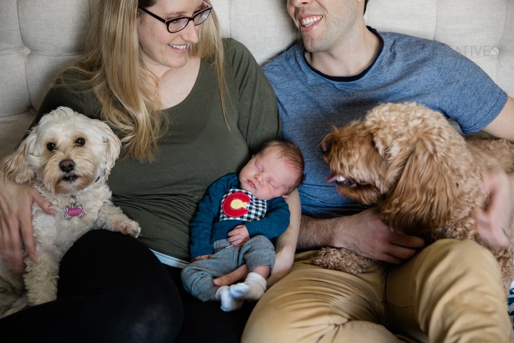 Milwaukee Newborn Portrait session with mom dad and dogs