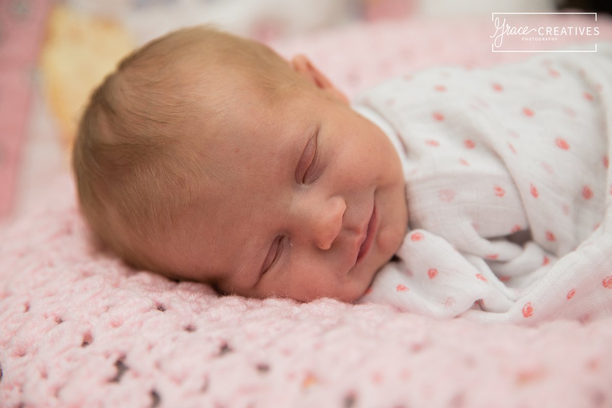 Milwaukee in-home newborn portrait session