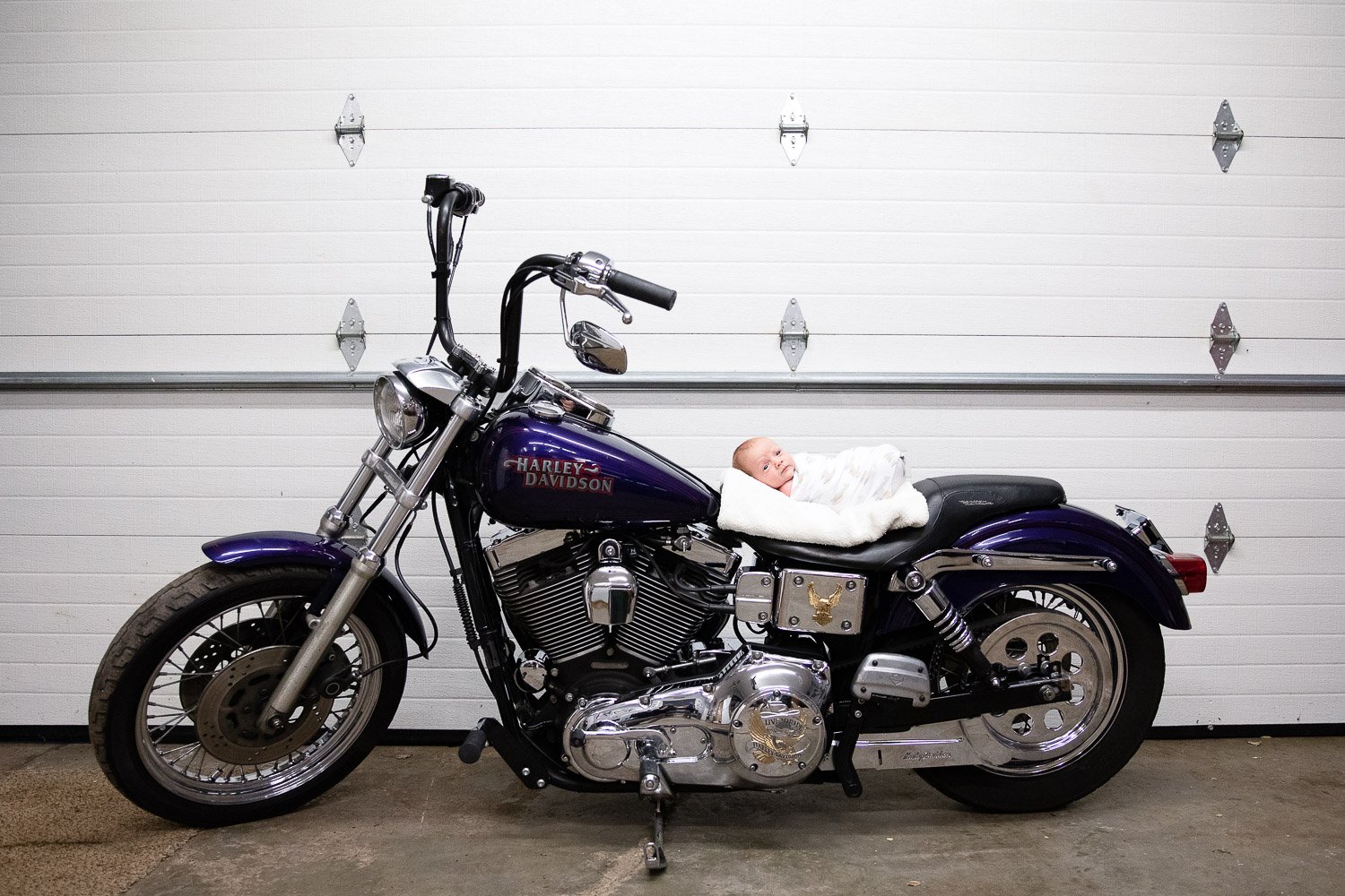 Harley-Davidson-Milwaukee-Newborn-Portrait1.jpeg