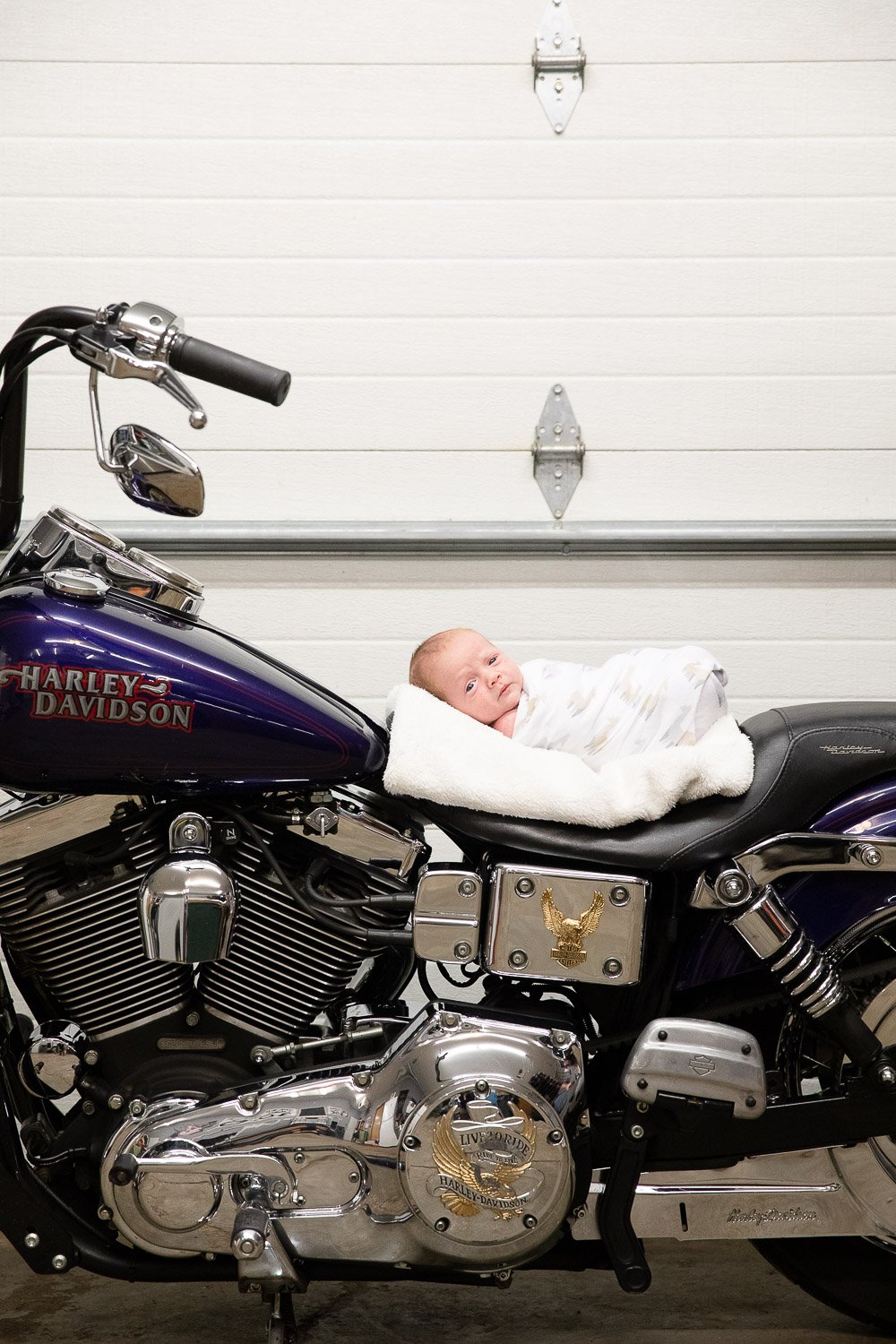 Harley-Davidson-Milwaukee-Newborn-Portrait3.jpeg