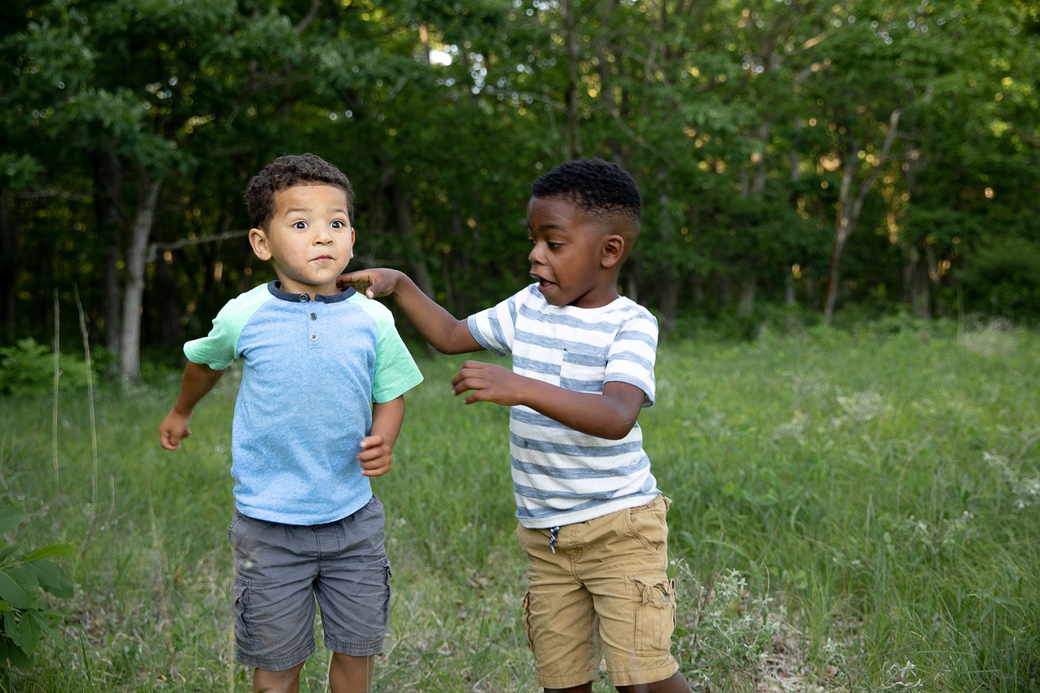 Brothers playing during family photos at Devils lake state park