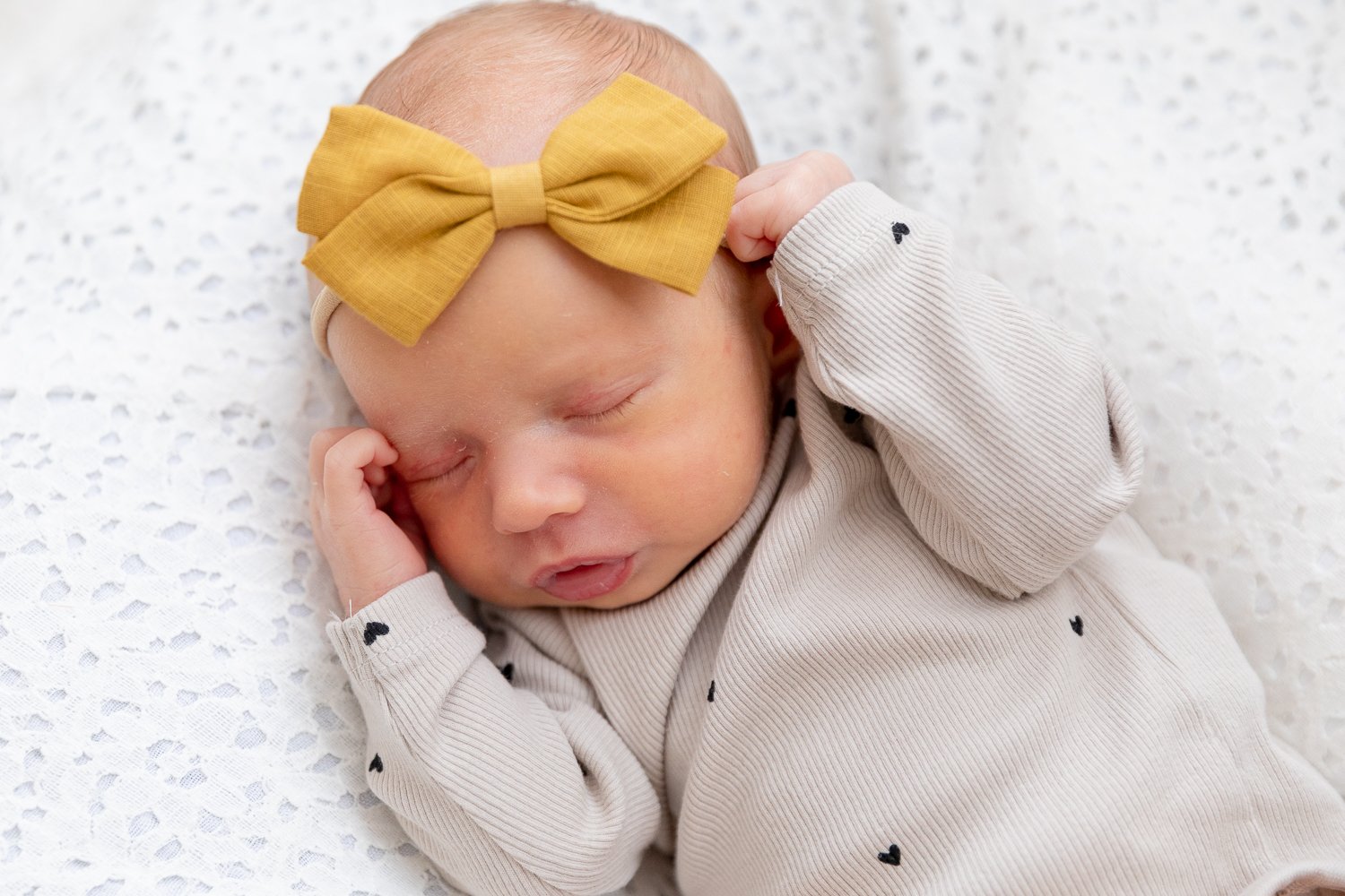 tosa newborn photos