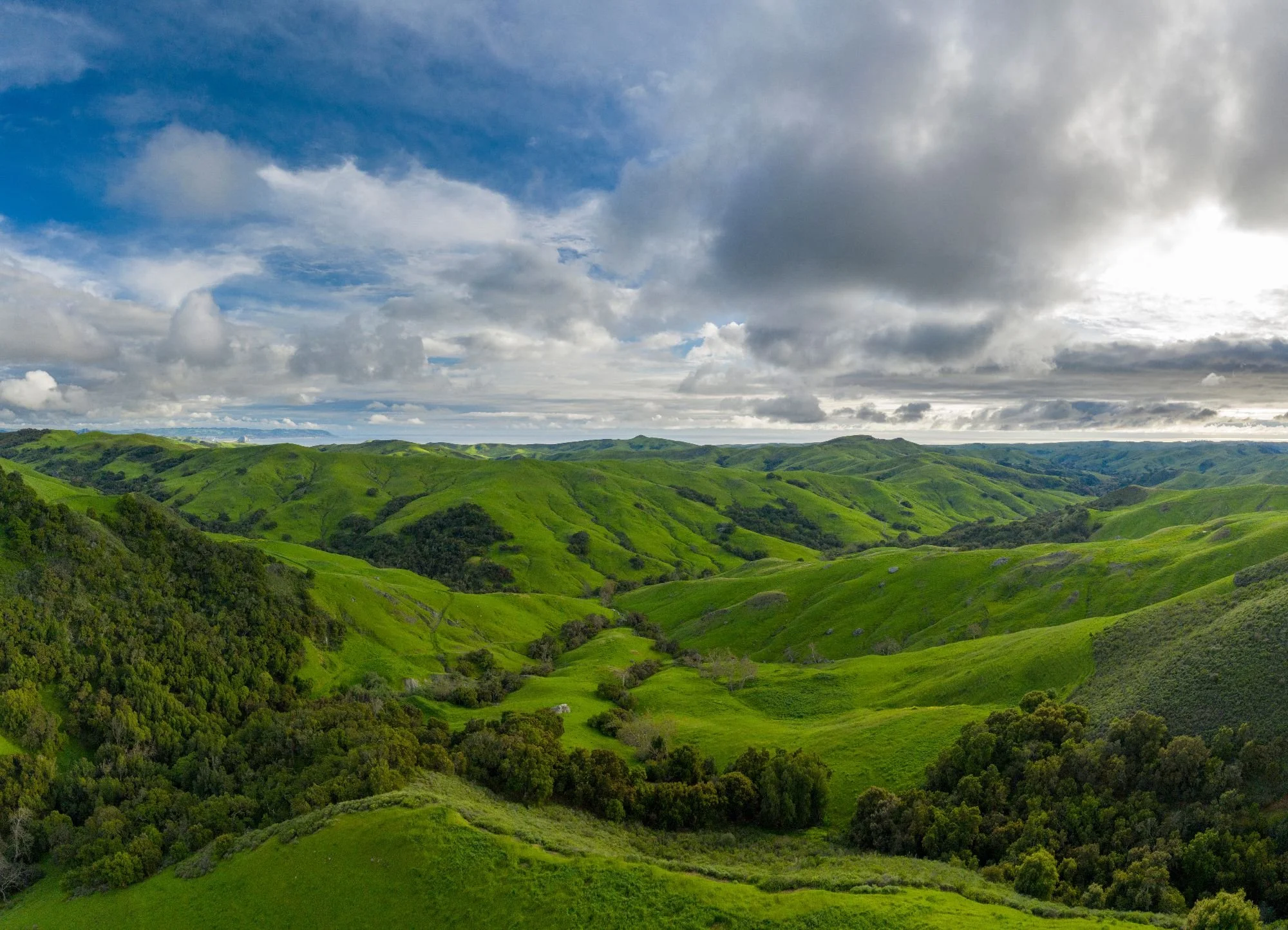 Member Benefits 2.jpeg