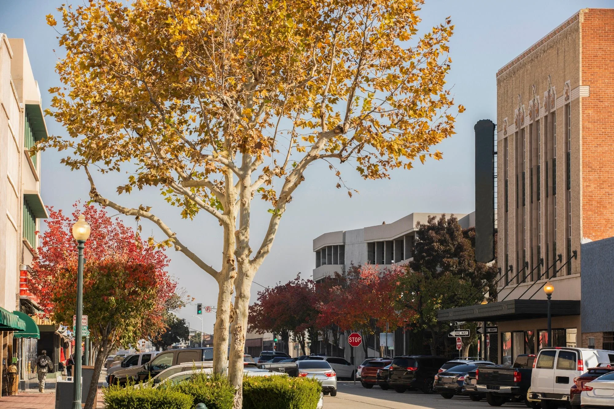 Money Manager 2.jpeg