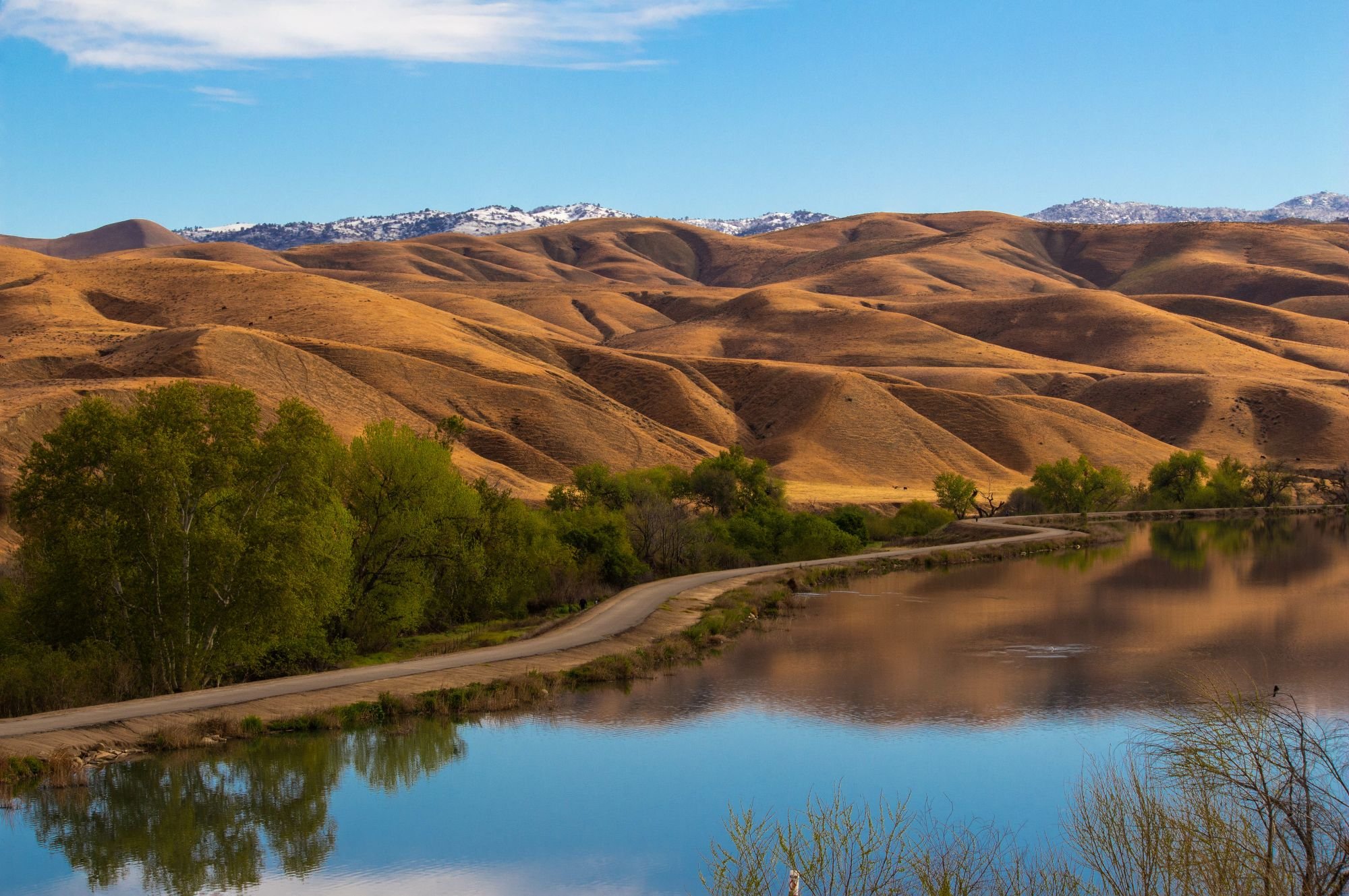 Virtual Branch 2.jpeg