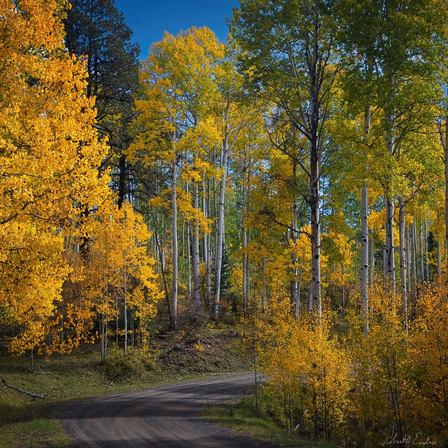 Another Bend in the Road and Seasons