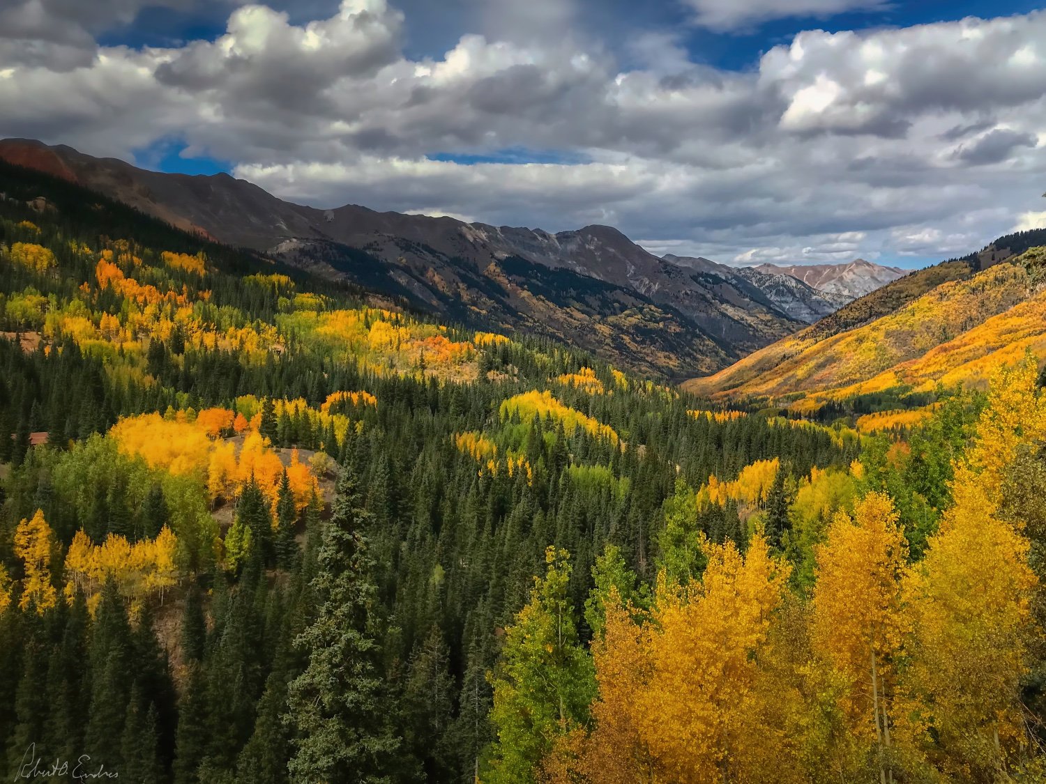 Aspens Near Million Dollar Highway