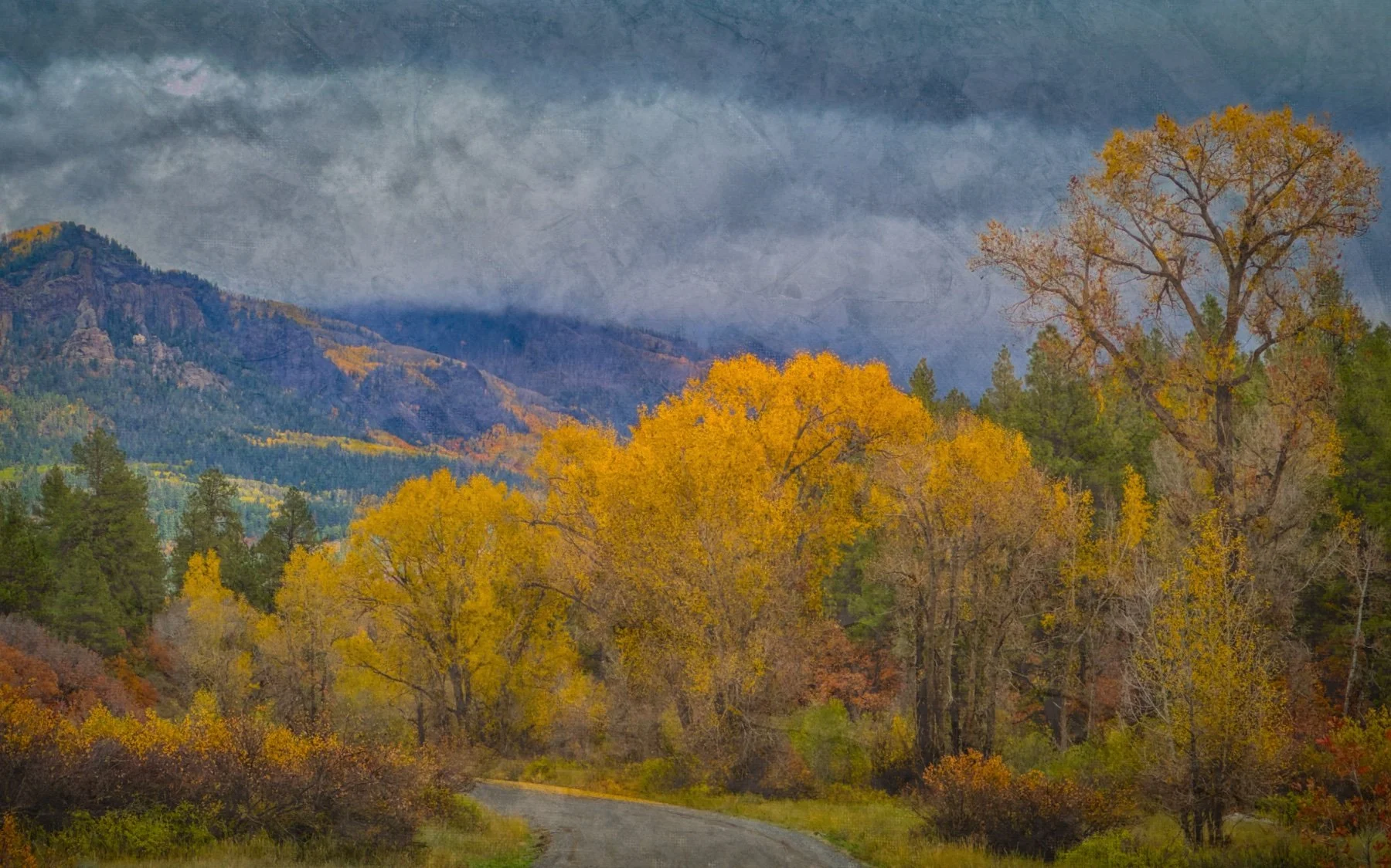 San Juan National Forest, Colorado, USA - October, 2025