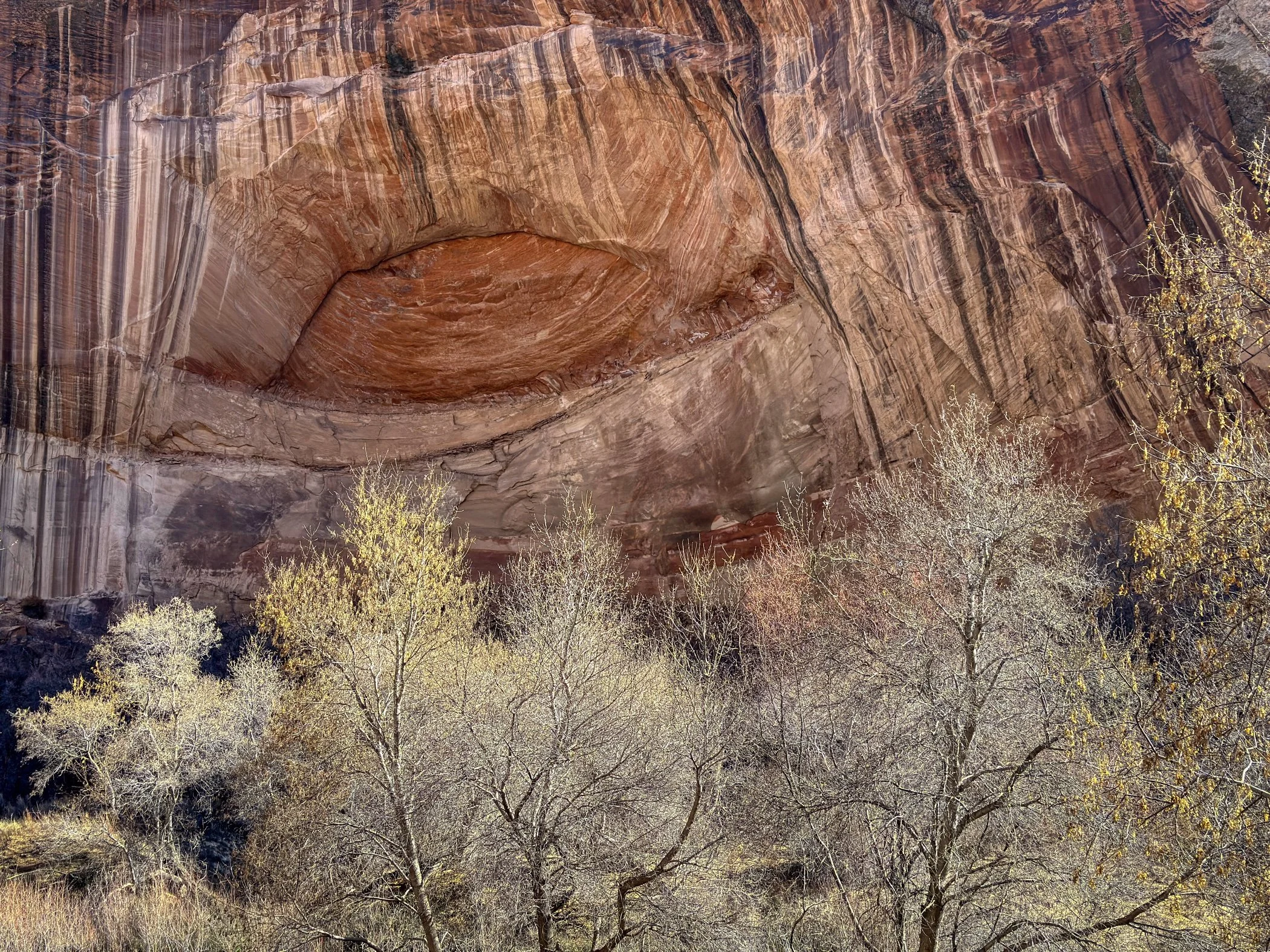 Giant's Eye, in Calf Creek Canyon, Grand Staircase-Escalante National Monument, Utah, USA - February, 2026