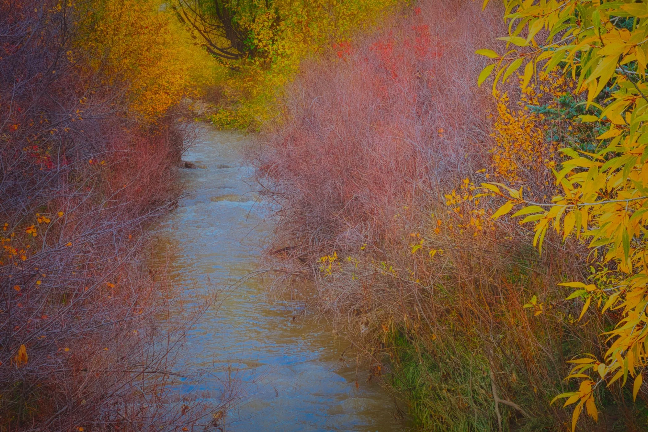 An autumn scene of a narrow creek surrounded by trees with brightly colored yellow, orange, and red leaves, some green grass is visible along the edges of a blue-tinted creek.