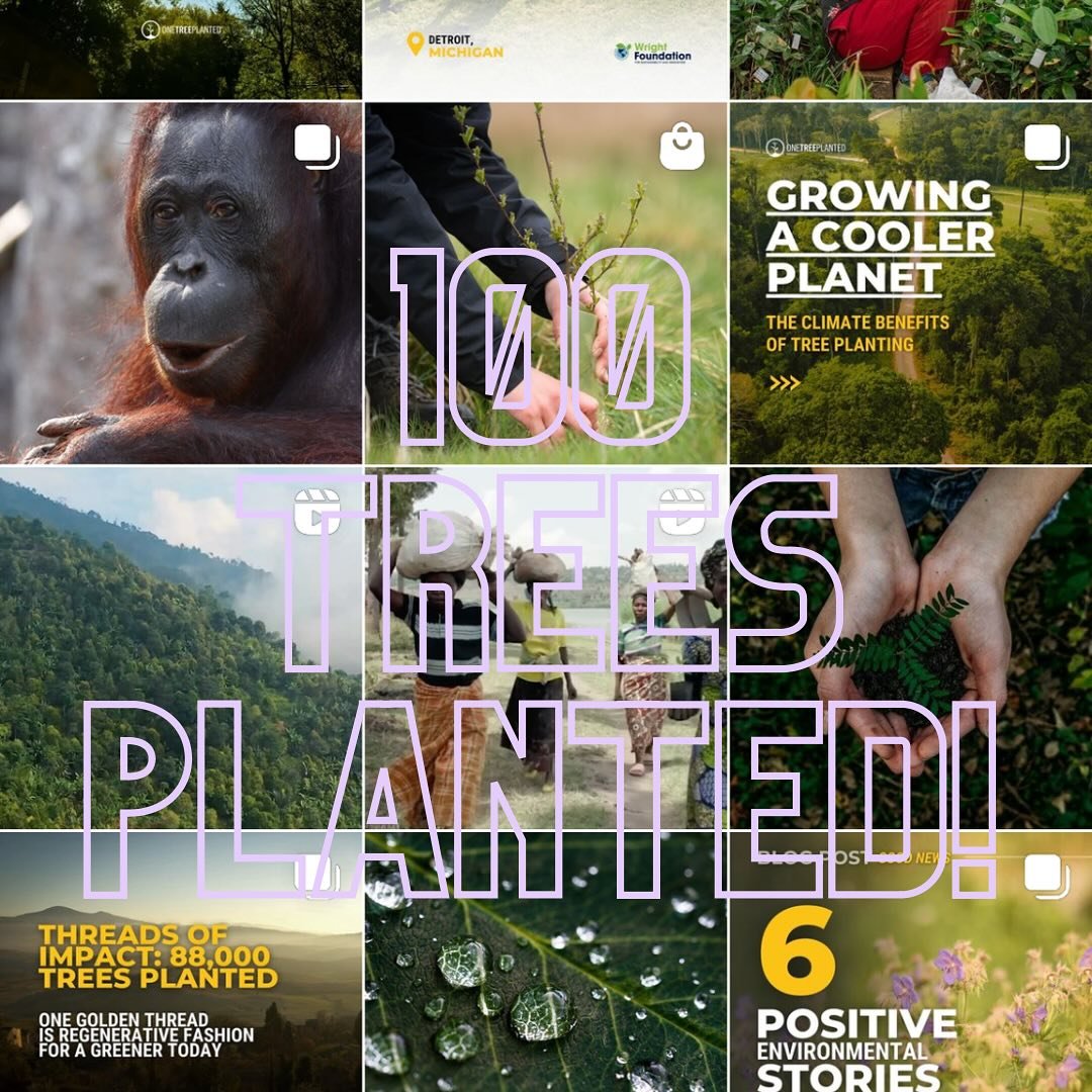 As you may or may not know, earlier this year we decided to start planting one tree per every hundred coffees sold&hellip; 🌴☕️🌲☕️🌳 We are happy and excited to say that via @onetreeplanted we just planted our first 100 trees! Thanks for all your co