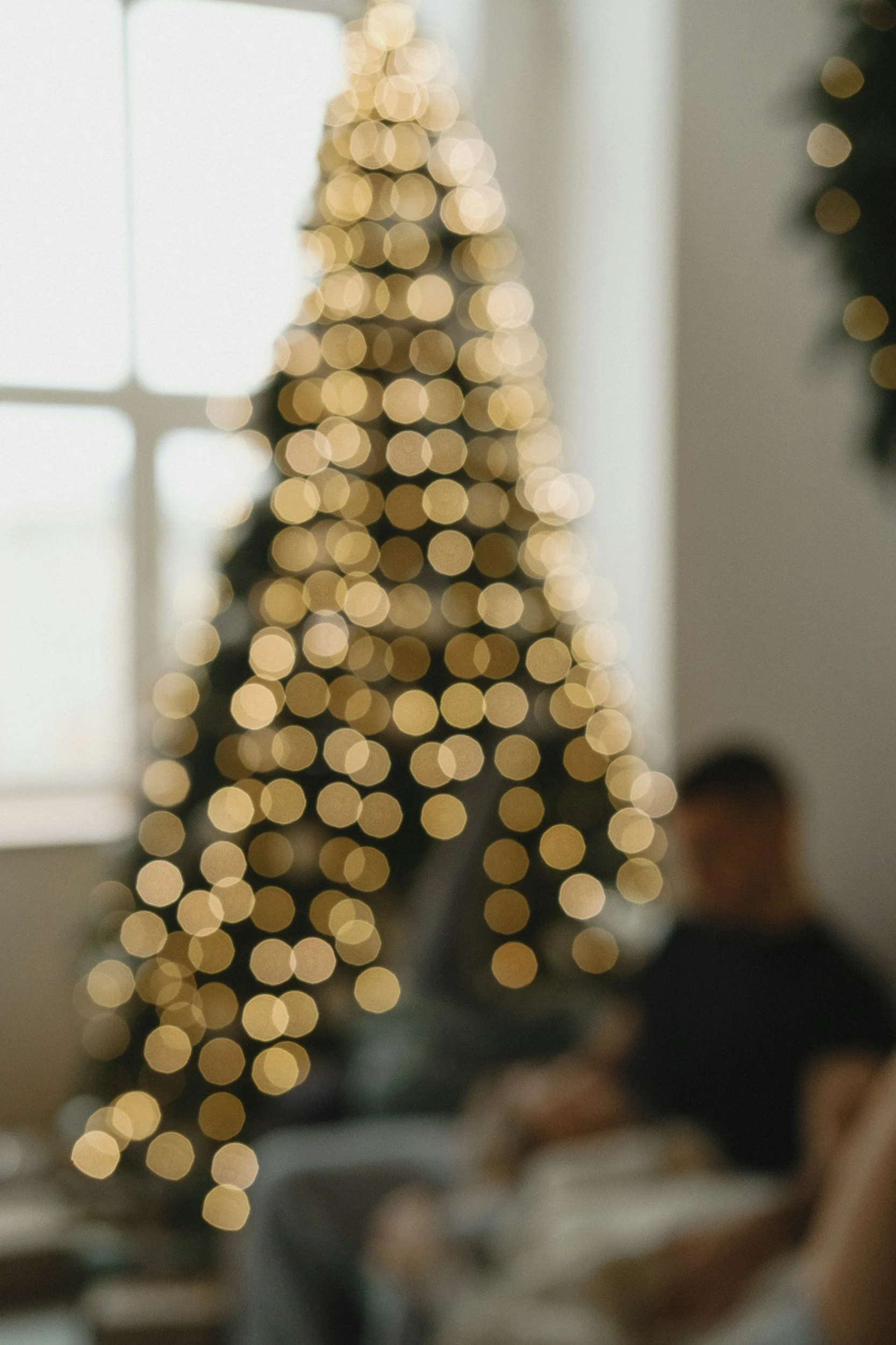unsplash-image-5LzS7vOoM4U.jpg