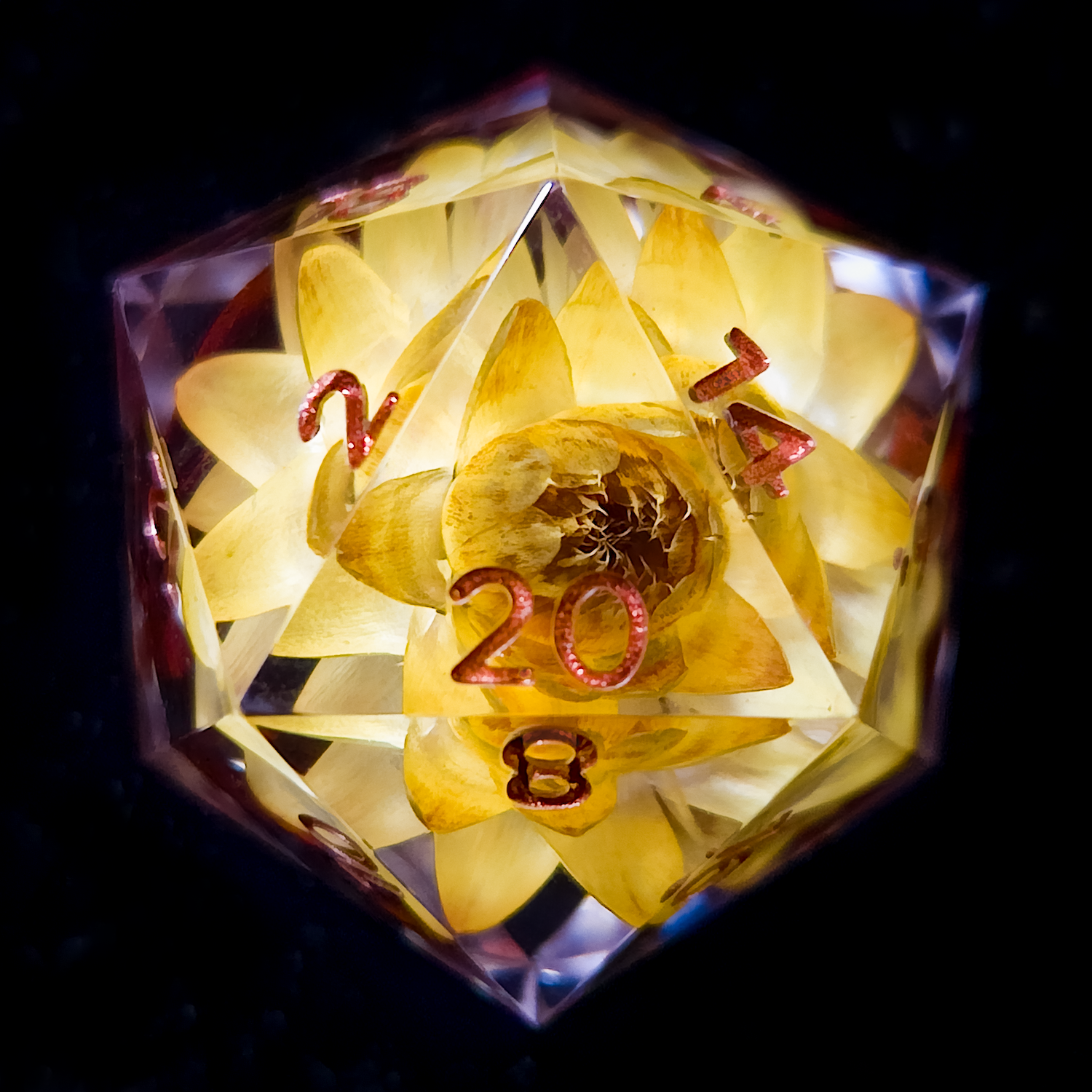 BloomingD201_2025 smoll.png