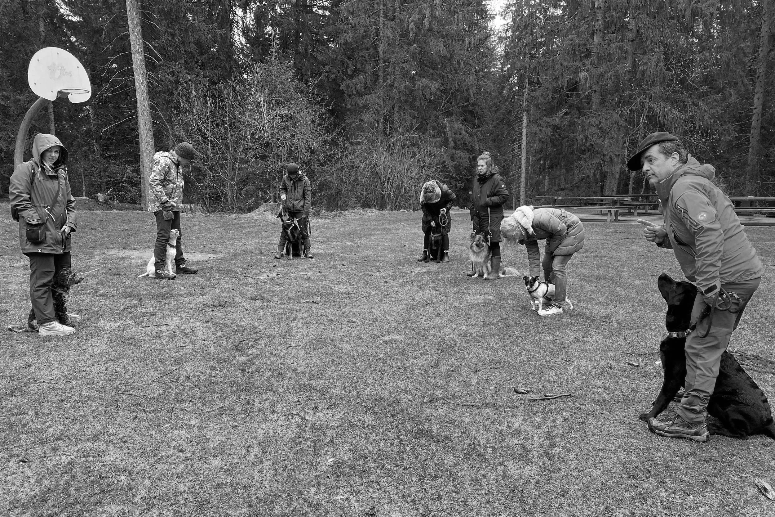 People and dogs participating in a dog training session outdoors in a grassy area surrounded by trees.