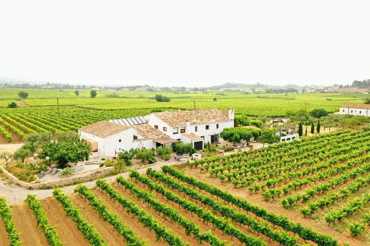 Weingut mit weißen Häusern umgeben von Weinbergen in der Landschaft.