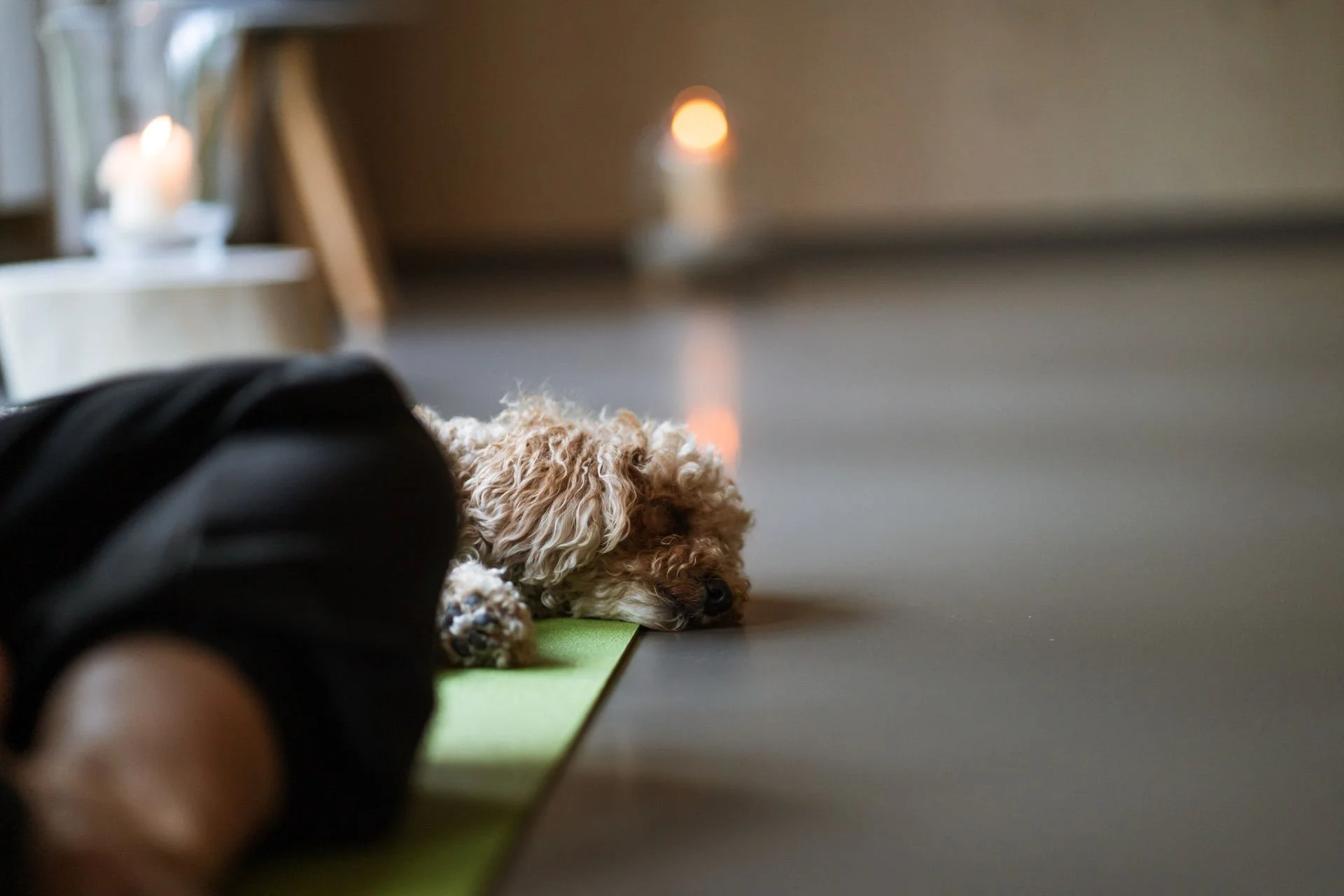 194 - SabinaYoga_LOWRes-154.jpg