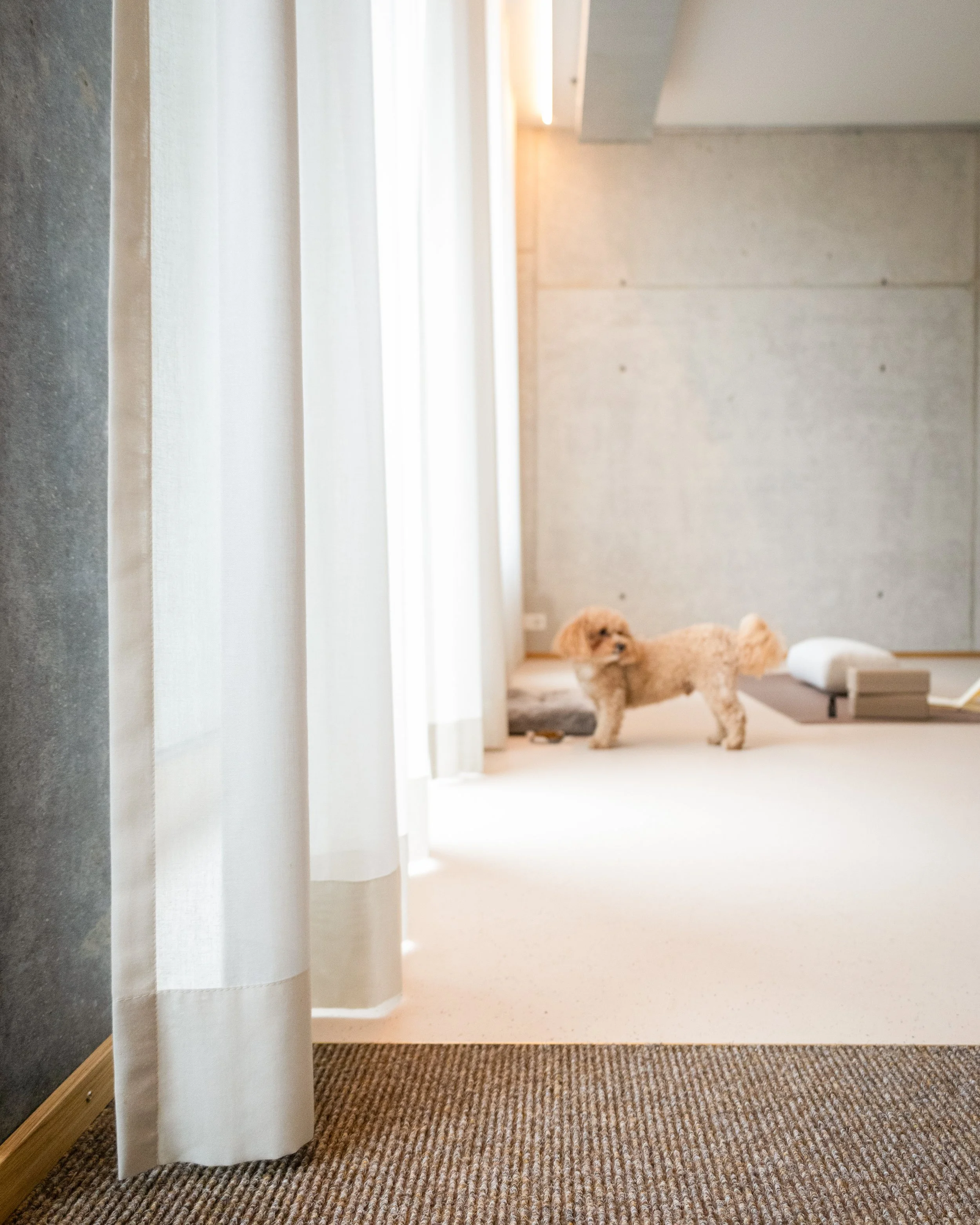 SJ_59_Move Yoga-9.jpg