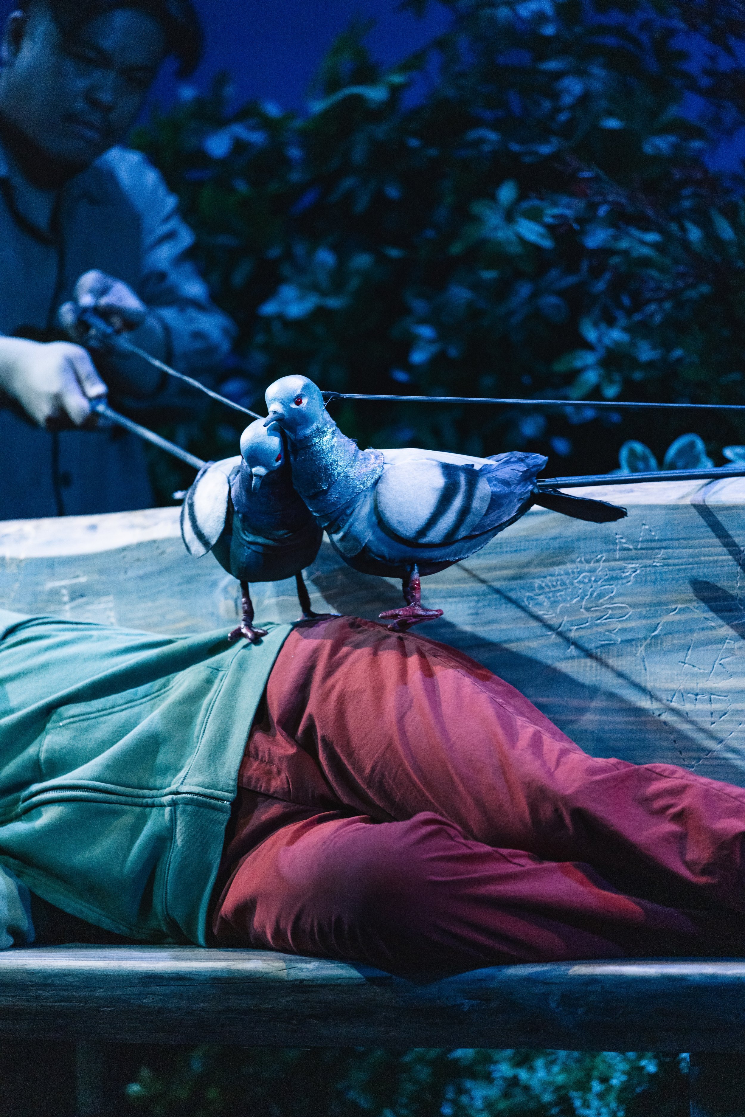 the aves_Photo Credit Giao Nguyen_FULL-8.jpeg