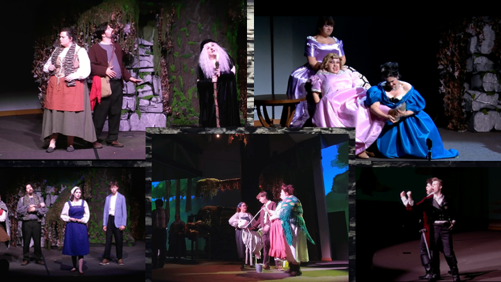 Stage Review - Into the Woods (Mustard Seed Theater)