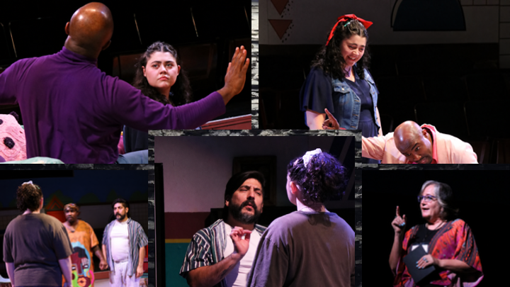 Stage Review - The Docent (Lakewood Playhouse)