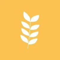 White leaf illustration on a yellow background