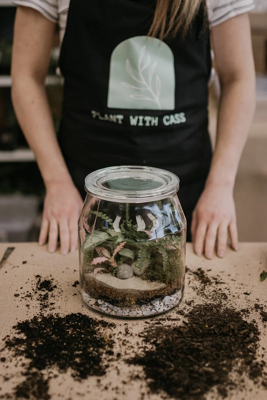 Inside the Glass: The Science, Soul and Springtails of Terrariums with Plant With Cass