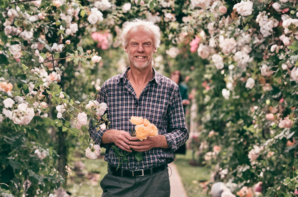 Organic Rose Care the Michael Marriott Way: Soil, Simplicity, and Letting Nature Lead