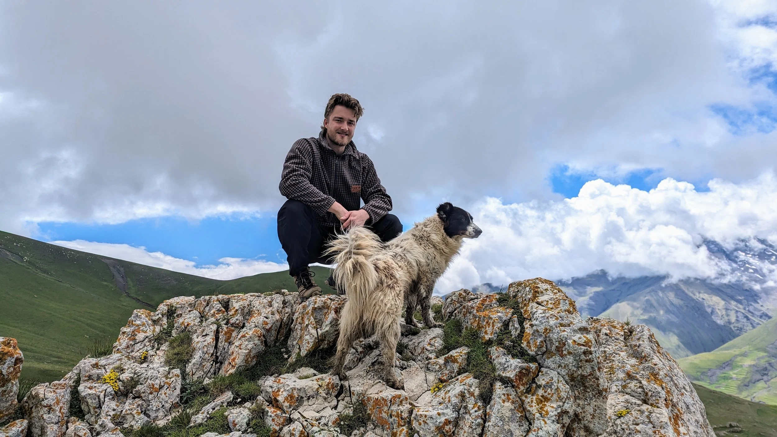 Britain’s Beautiful Illusion: Why Countryside Is Failing Biodiversity, and How Rewilding Could Save It.