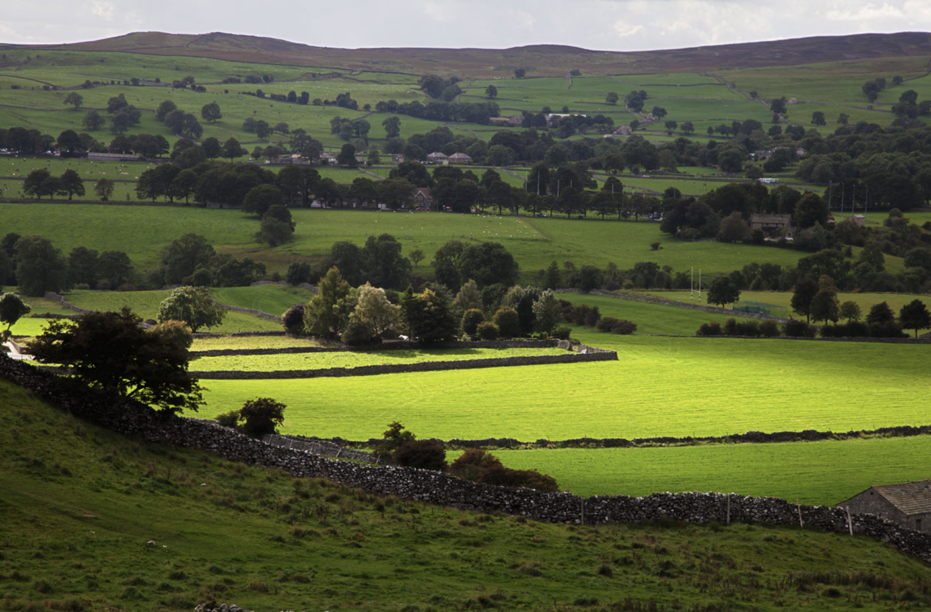 A wide view of the British countryside showing rolling green fields divided by dry-stone walls, scattered trees, and small farm buildings, with hills rising in the background under soft, overcast light.