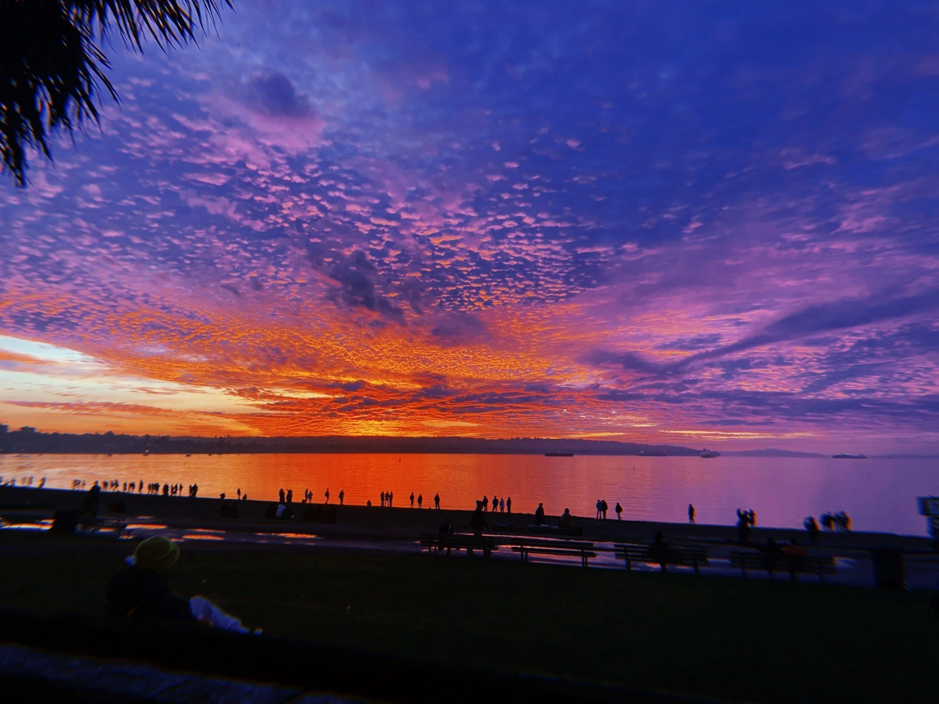 eb sunset.jpg