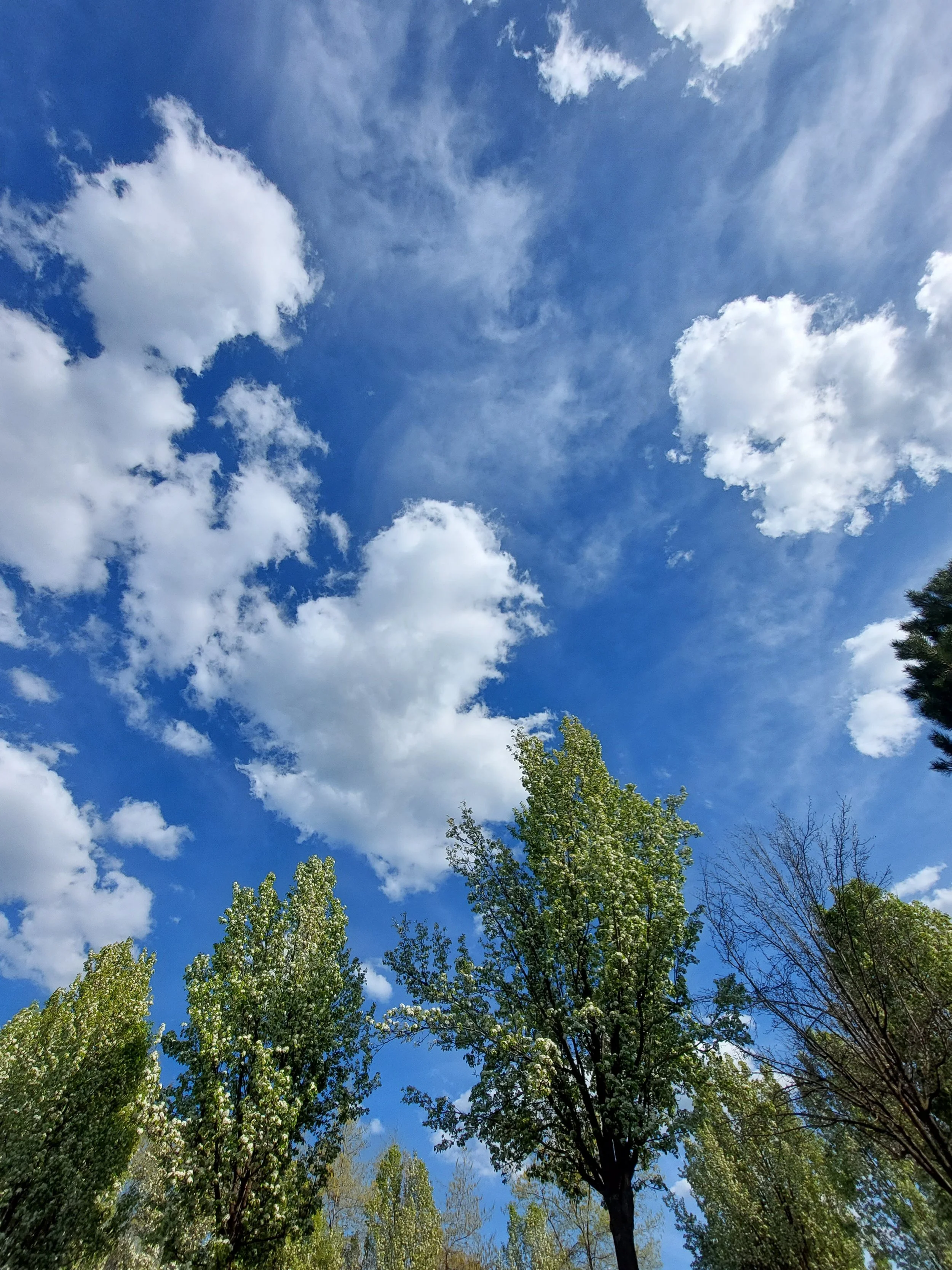 20220511_171900.jpg