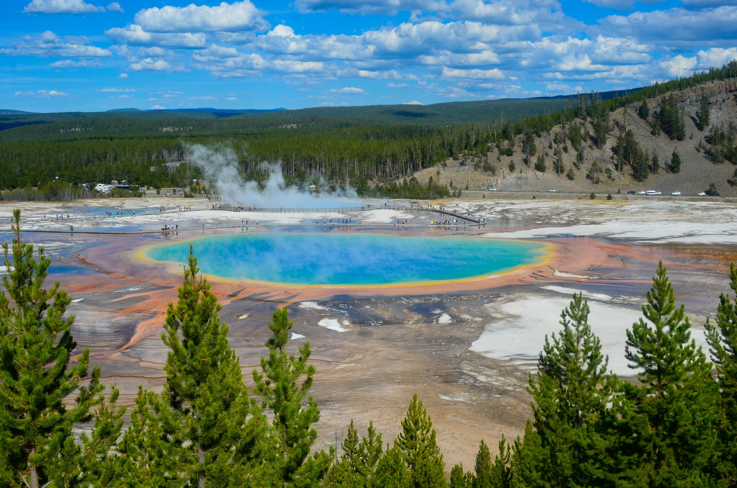 _DSC2077.jpg