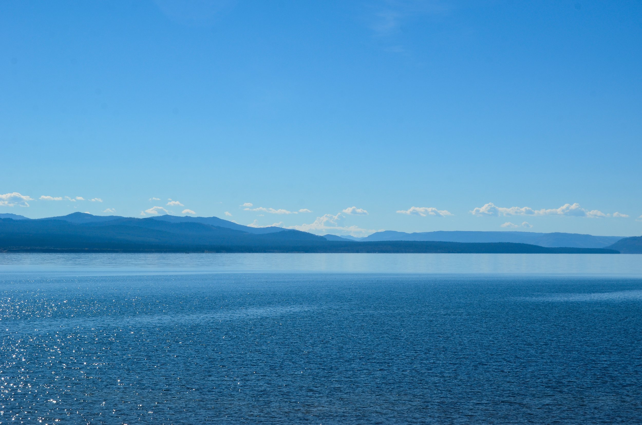 _DSC1901.jpg
