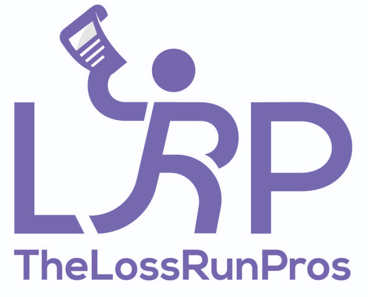 Loss Run Pro