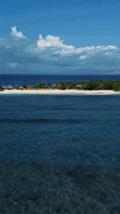 ezgif.com-optimize (12).gif