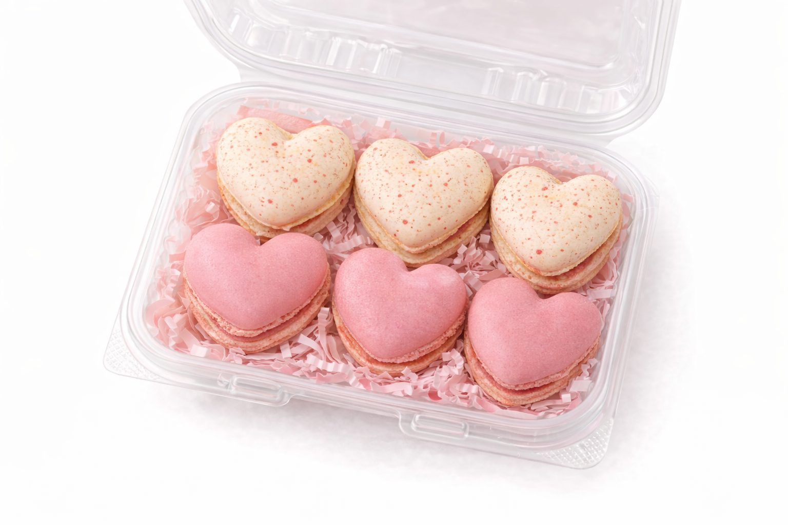 ChatGPT Image Jan 26, 2026, 09_17_29 PM.png