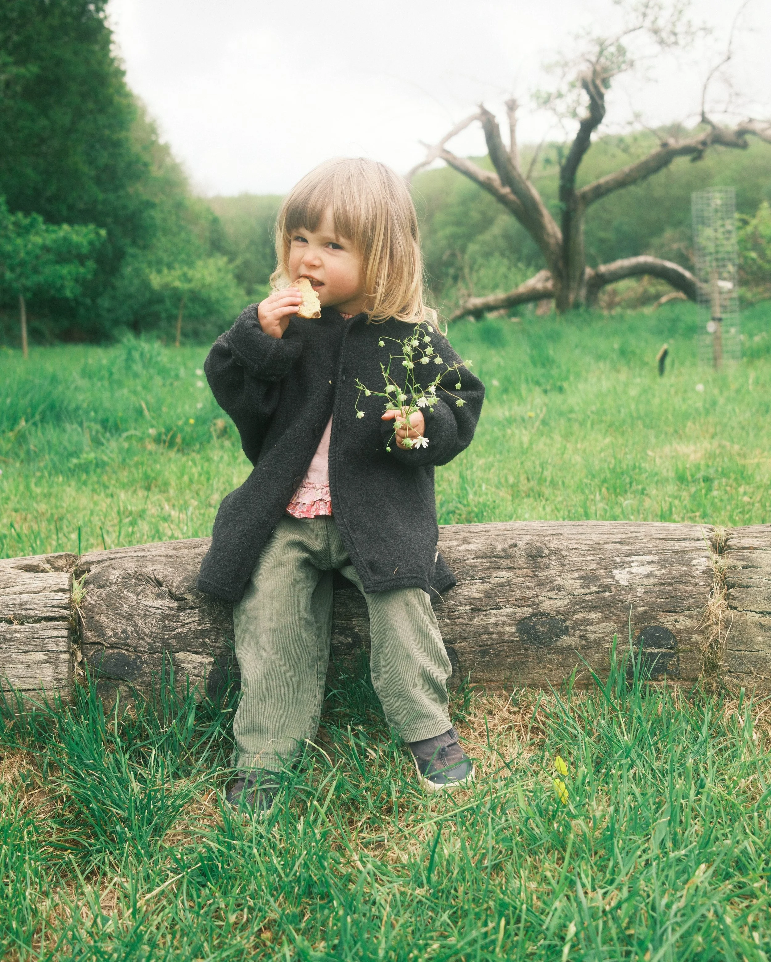 DSCF6155.jpg