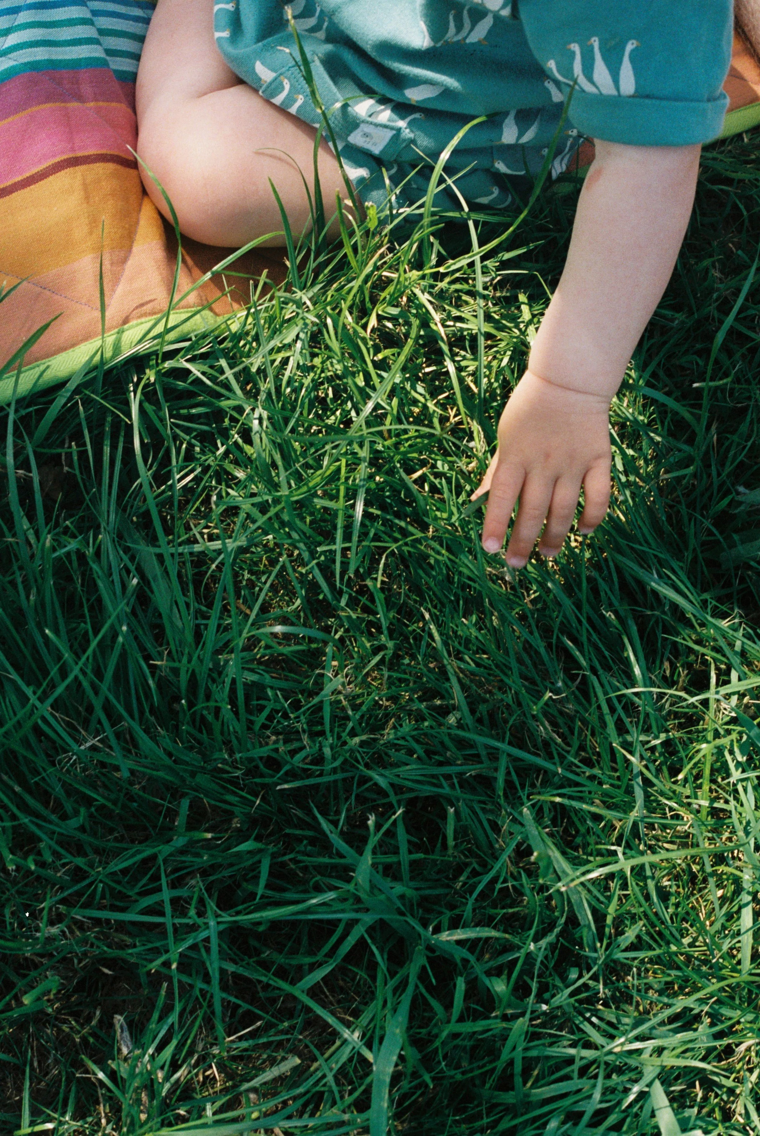 Child wearing a blue shirt and orange shorts lying on a blanket in tall grass, touching the grass with one hand.