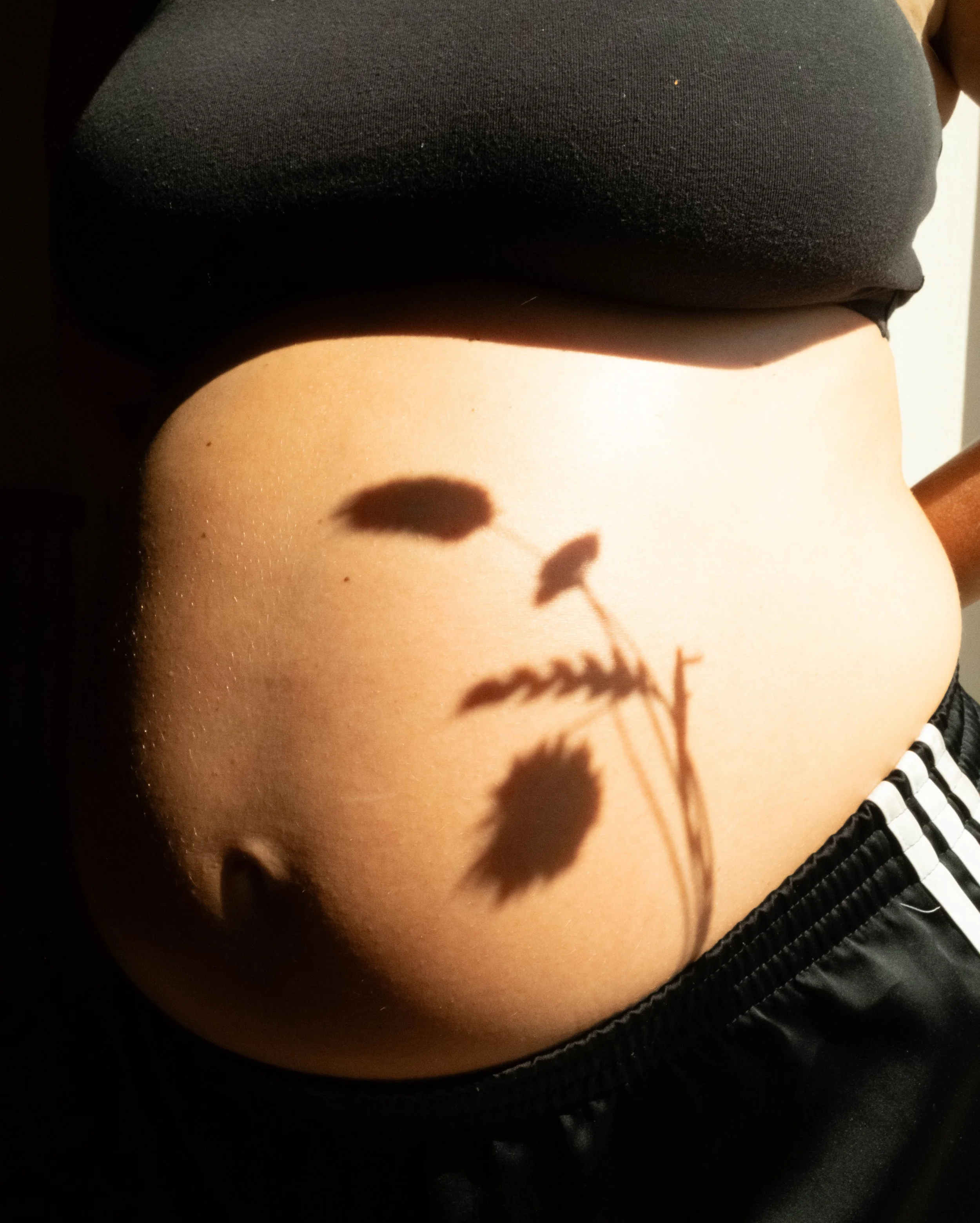 DSCF9527.jpg