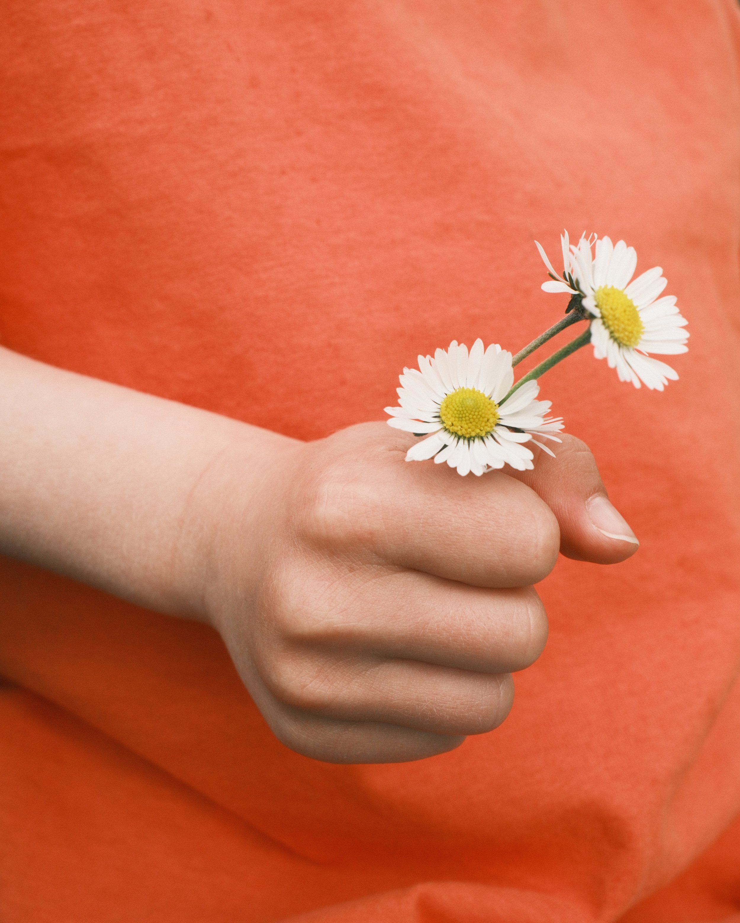 libbyearlandphotohanddaisies.jpg