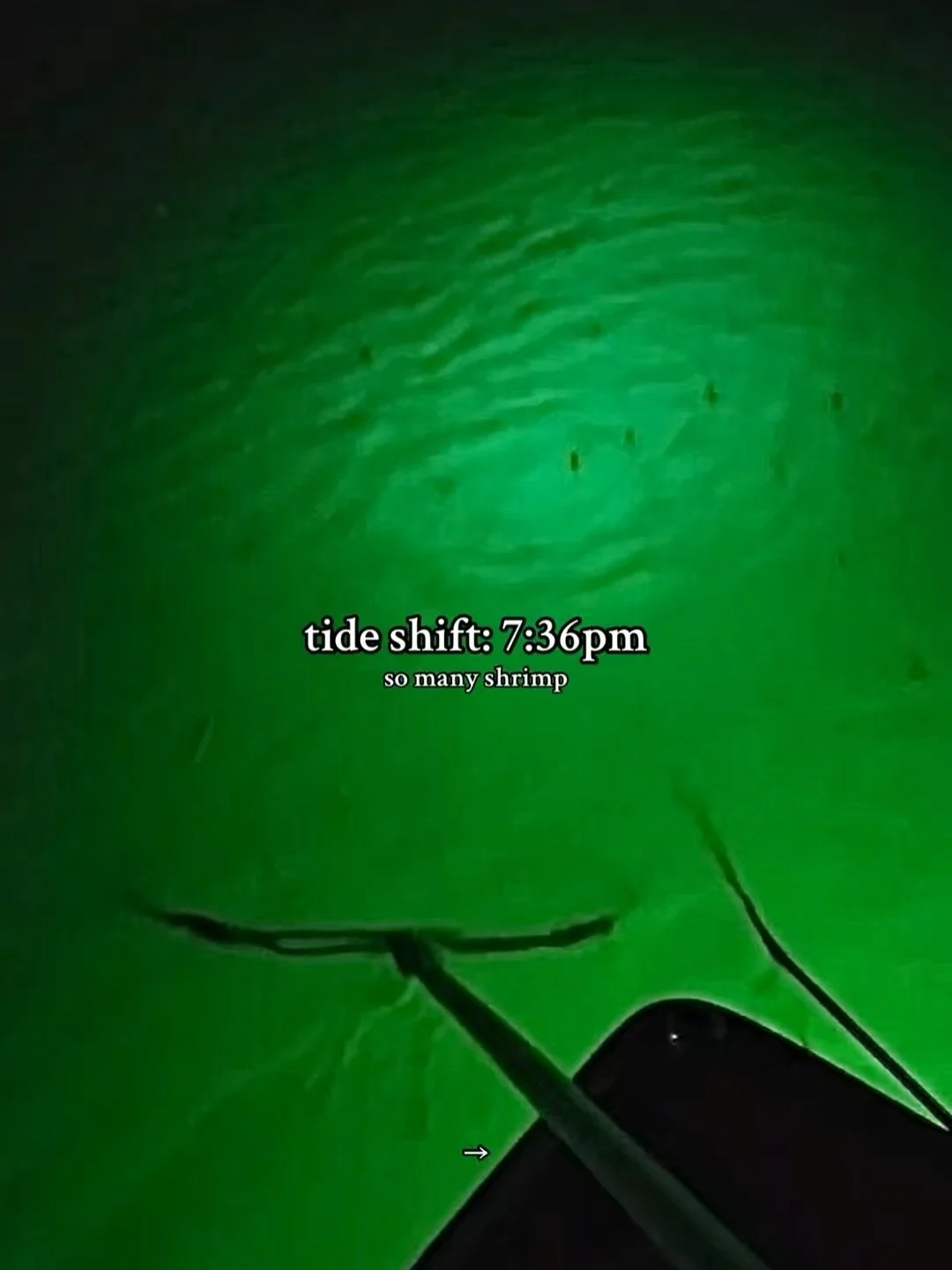 TIDE SHIFT.jpg (Copy)