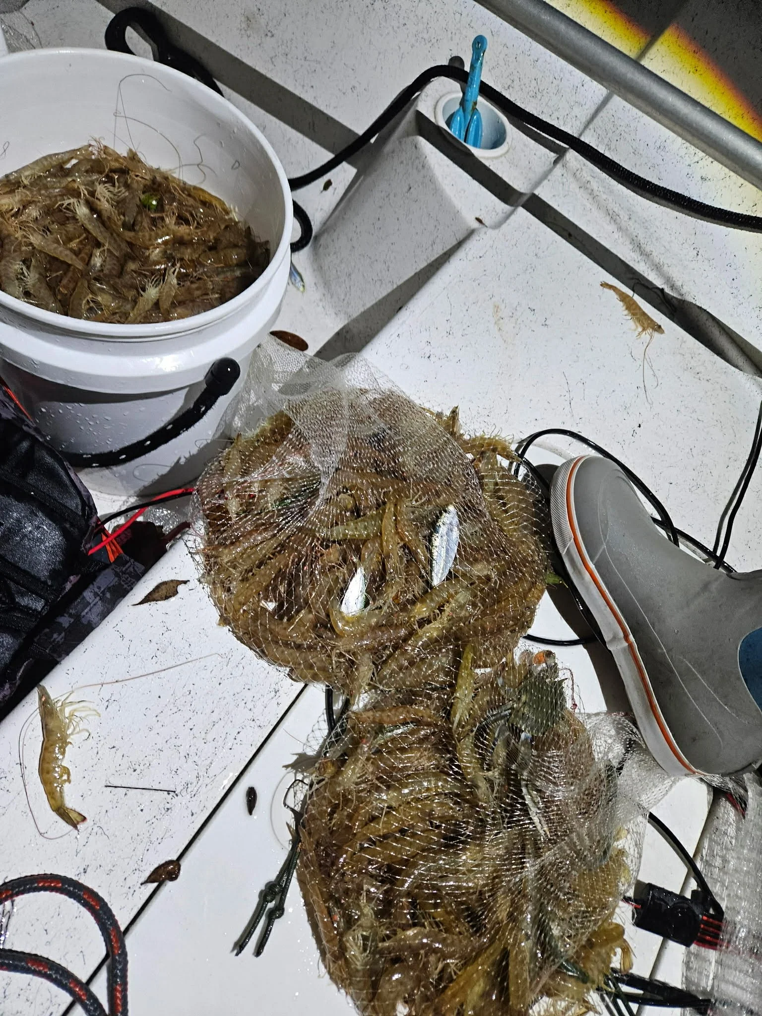 Bags of freshly caught shrimp on a table, with fishing equipment and a person's shoe visible.